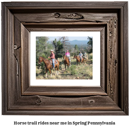 horse trail rides near me in Spring, Pennsylvania